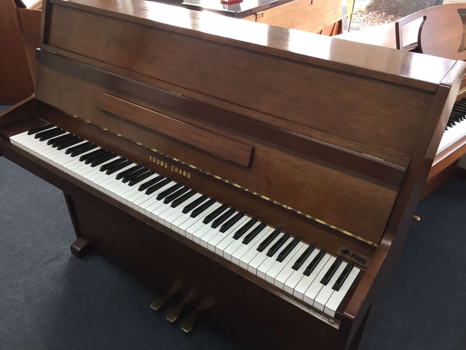Young Chang modern piano for sale