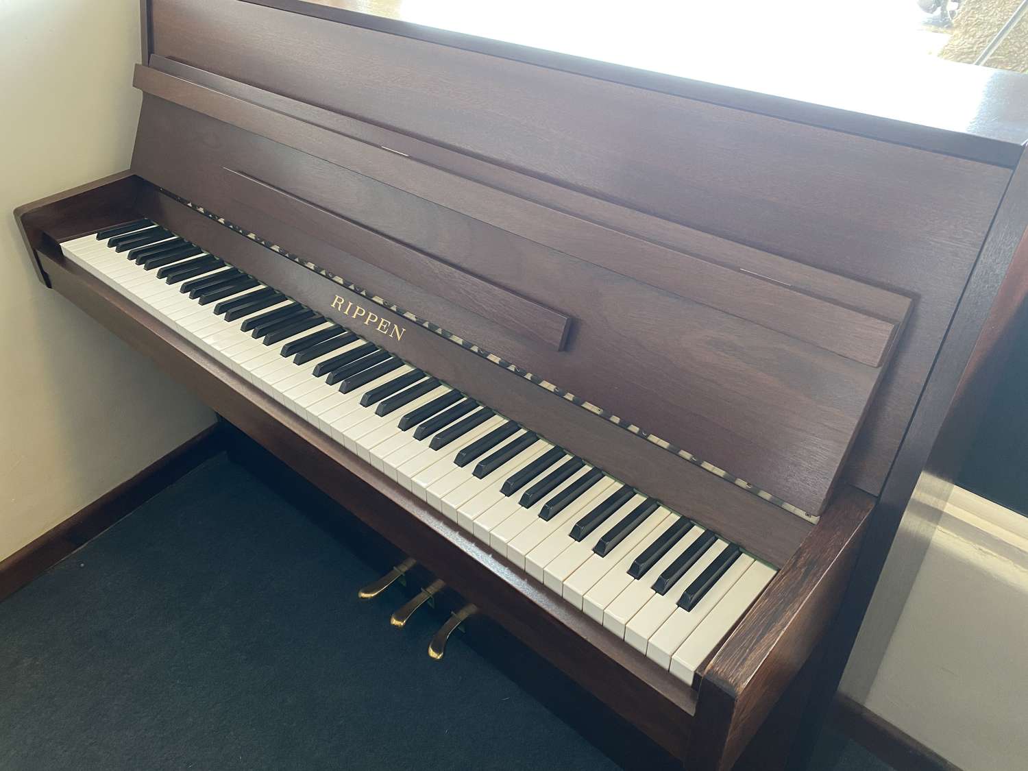 Rippen modern upright piano for sale