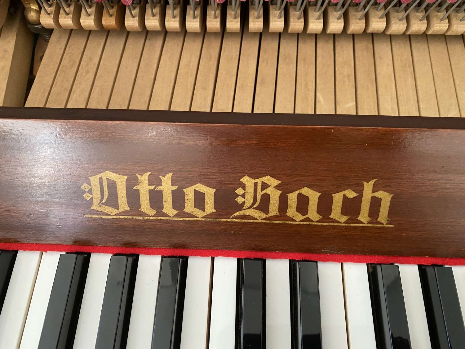 Acumulativo Mira hermosa Otto Bach (Knight piano)